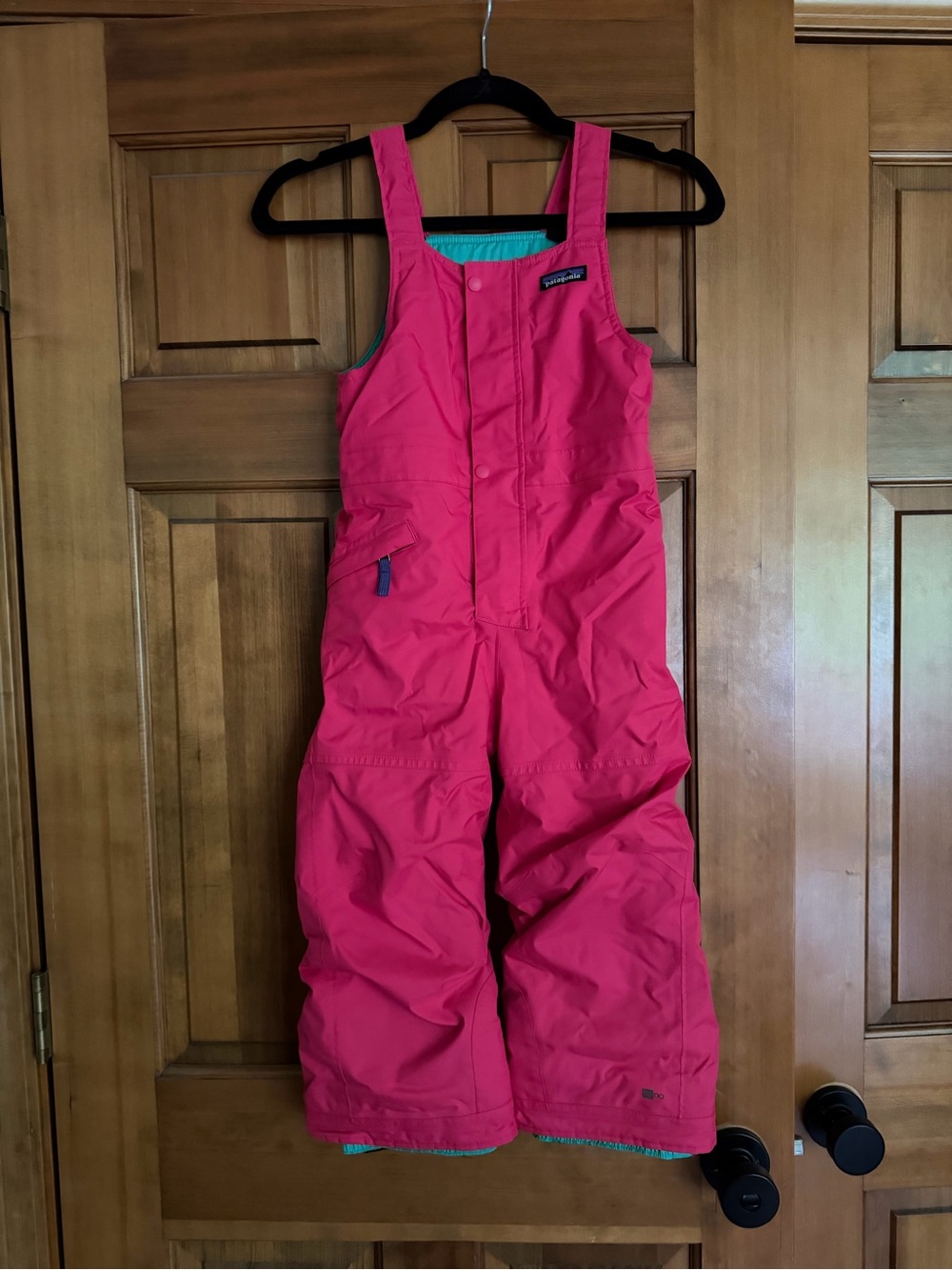 Patagonia Pink and Teal Kids Snow bibs